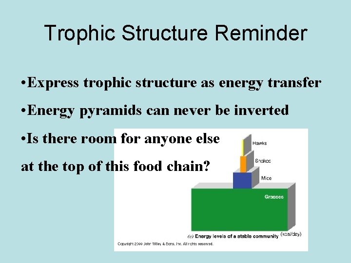 Trophic Structure Reminder • Express trophic structure as energy transfer • Energy pyramids can