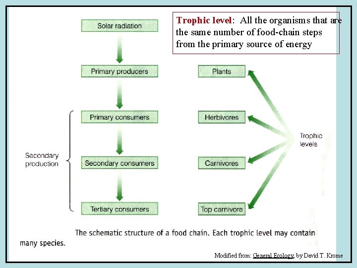 Trophic level: All the organisms that are the same number of food-chain steps from