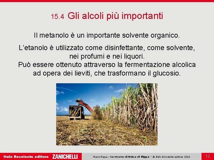 15. 4 Gli alcoli più importanti Il metanolo è un importante solvente organico. L’etanolo
