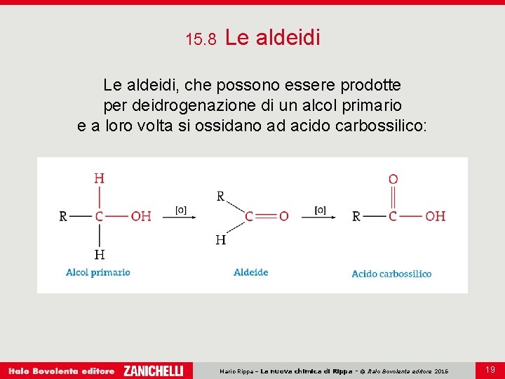 15. 8 Le aldeidi, che possono essere prodotte per deidrogenazione di un alcol primario