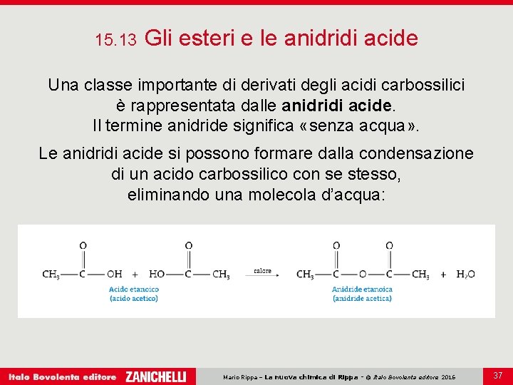 15. 13 Gli esteri e le anidridi acide Una classe importante di derivati degli