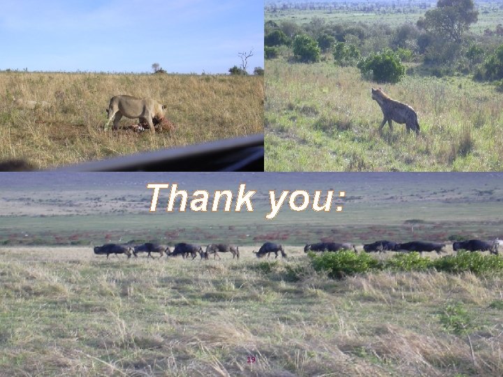 Thank you: #IAS 2017 | @IAS_conference 19 