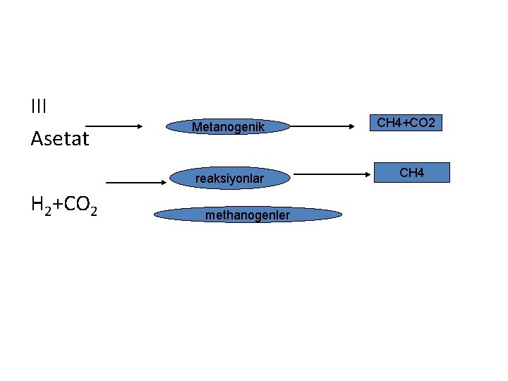 III Asetat Metanogenik reaksiyonlar H 2+CO 2 methanogenler CH 4+CO 2 CH 4 
