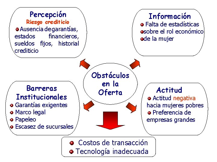 Percepción Información Riesgo crediticio Falta de estadísticas sobre el rol económico de la mujer