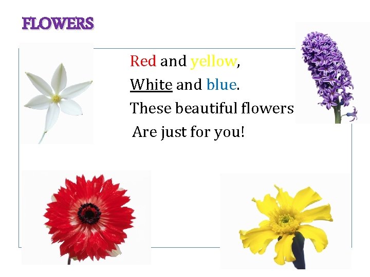 FLOWERS • Red and yellow, White and blue. These beautiful flowers Are just for