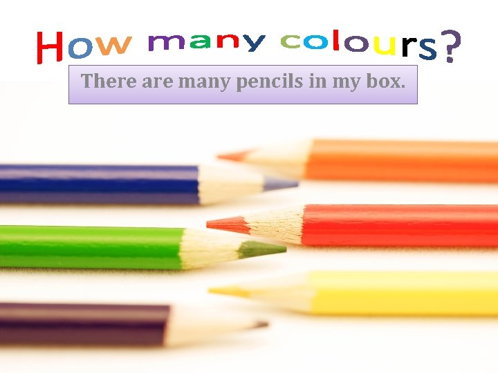 There are many pencils in my box. 