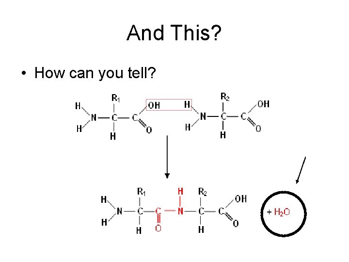 And This? • How can you tell? 