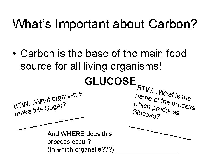 What’s Important about Carbon? • Carbon is the base of the main food source