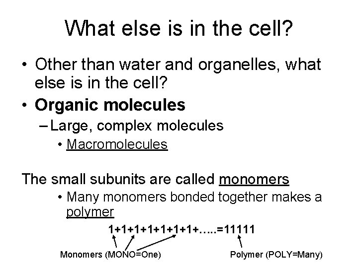 What else is in the cell? • Other than water and organelles, what else