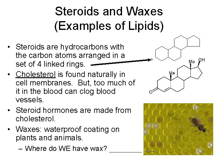 Steroids and Waxes (Examples of Lipids) • Steroids are hydrocarbons with the carbon atoms