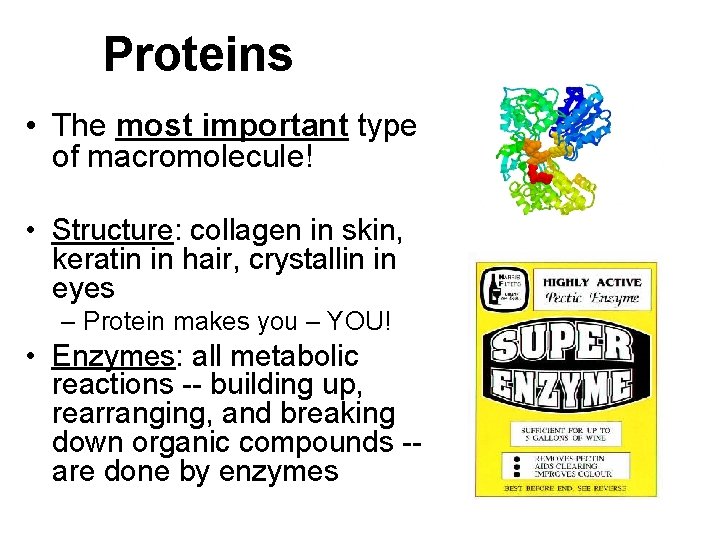 Proteins • The most important type of macromolecule! • Structure: collagen in skin, keratin