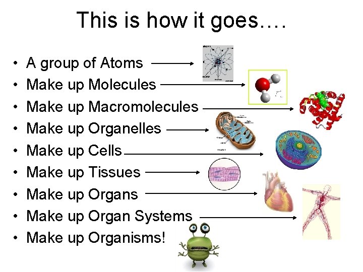 This is how it goes…. • • • A group of Atoms Make up