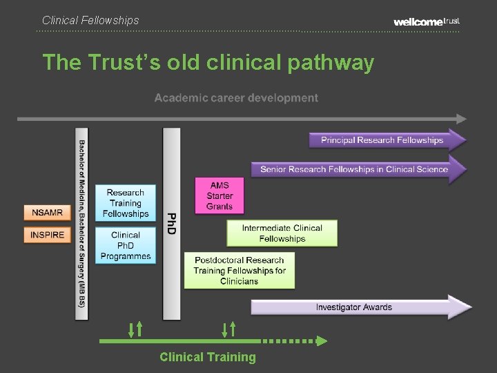 Clinical Fellowships The Trust’s old clinical pathway Clinical Training 