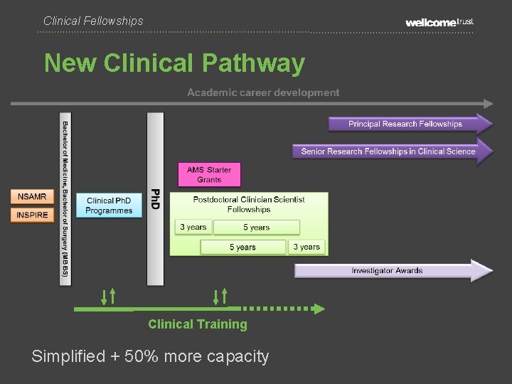 Clinical Fellowships New Clinical Pathway Clinical Training Simplified + 50% more capacity 