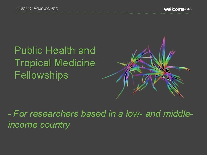 Clinical Fellowships Public Health and Tropical Medicine Fellowships - For researchers based in a