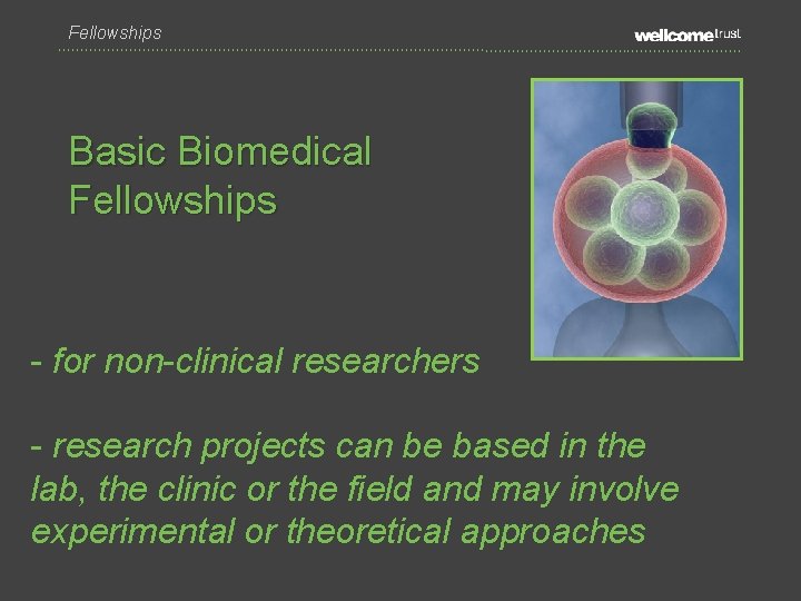 Fellowships Basic Biomedical Fellowships - for non-clinical researchers - research projects can be based