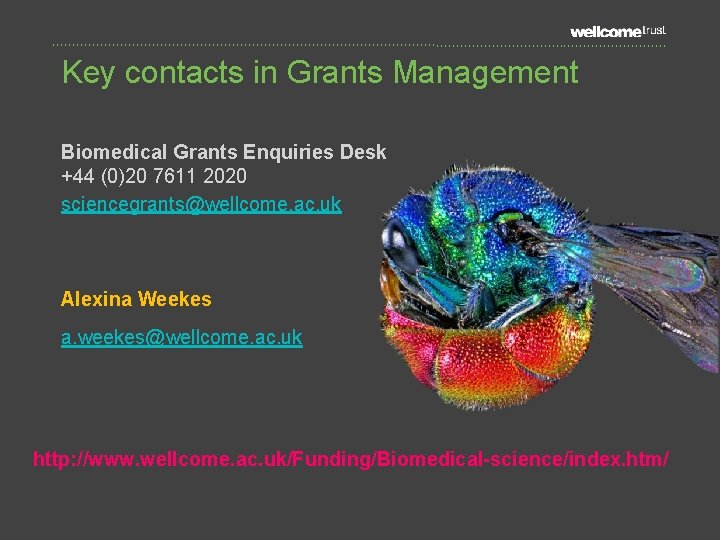 Key contacts in Grants Management Biomedical Grants Enquiries Desk +44 (0)20 7611 2020 sciencegrants@wellcome.