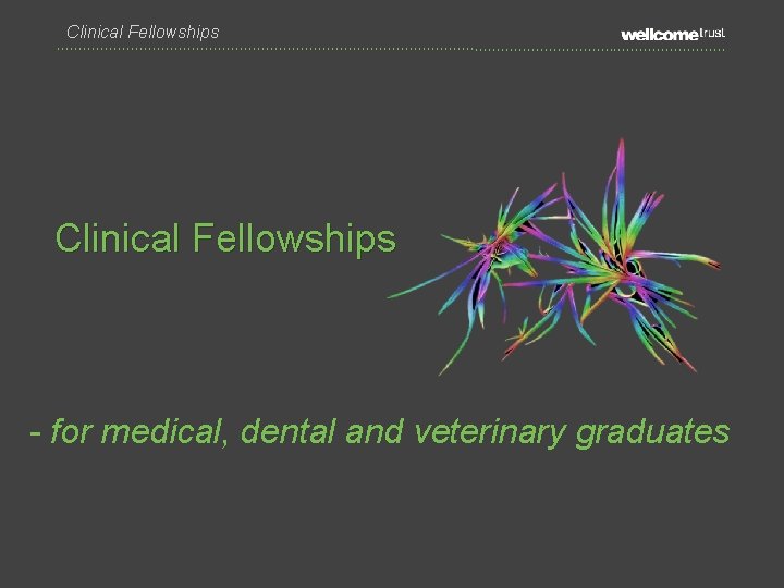 Clinical Fellowships - for medical, dental and veterinary graduates 