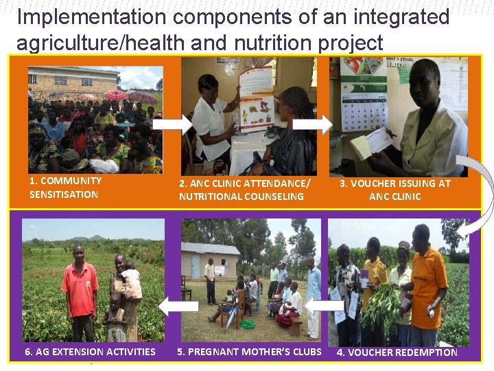 Implementation components of an integrated agriculture/health and nutrition project 1. COMMUNITY SENSITISATION 6. AG