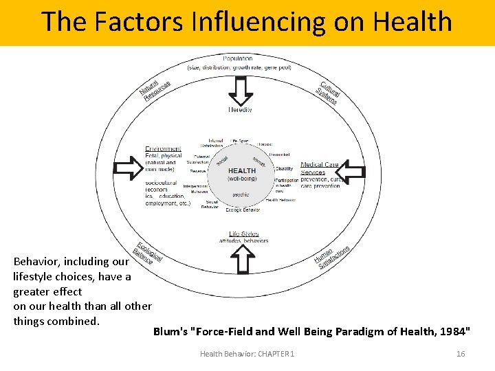 The Factors Influencing on Health Behavior, including our lifestyle choices, have a greater effect