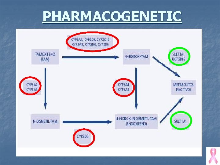 PHARMACOGENETIC 