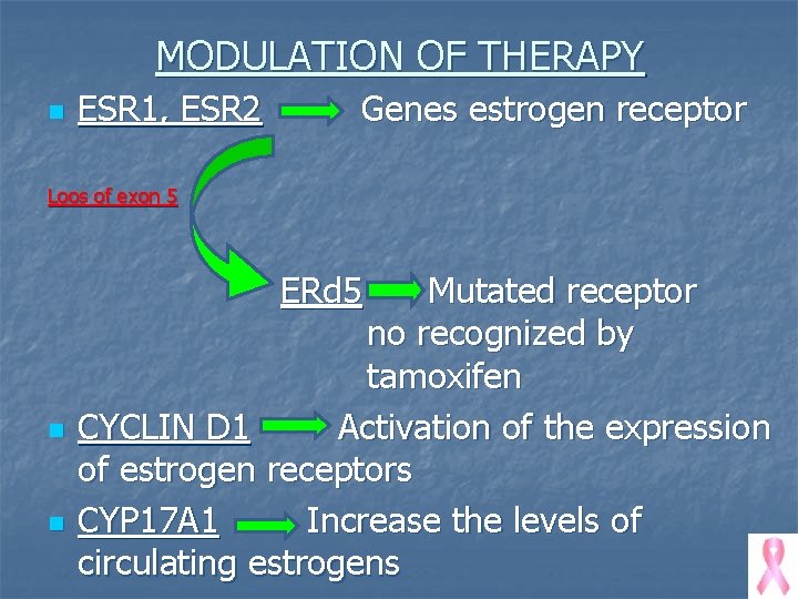 MODULATION OF THERAPY n ESR 1, ESR 2 Genes estrogen receptor Loos of exon