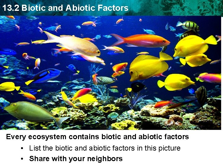 13. 2 Biotic and Abiotic Factors Every ecosystem contains biotic and abiotic factors •