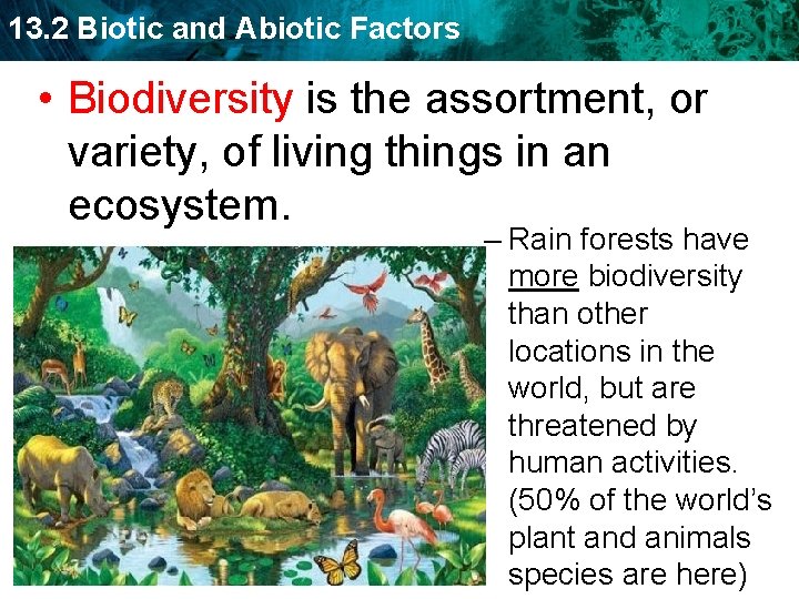 13. 2 Biotic and Abiotic Factors • Biodiversity is the assortment, or variety, of