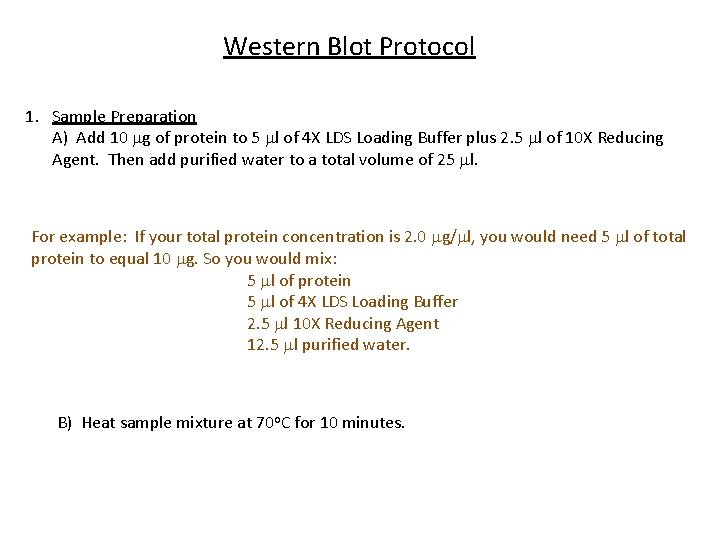 Western Blot Protocol 1. Sample Preparation A) Add 10 mg of protein to 5