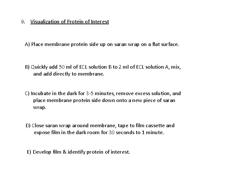 9. Visualization of Protein of Interest A) Place membrane protein side up on saran