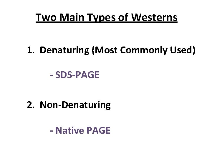 Two Main Types of Westerns 1. Denaturing (Most Commonly Used) - SDS-PAGE 2. Non-Denaturing