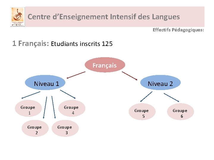 Centre d’Enseignement Intensif des Langues Effectifs Pédagogiques: 1 Français: Etudiants inscrits 125 Français Niveau