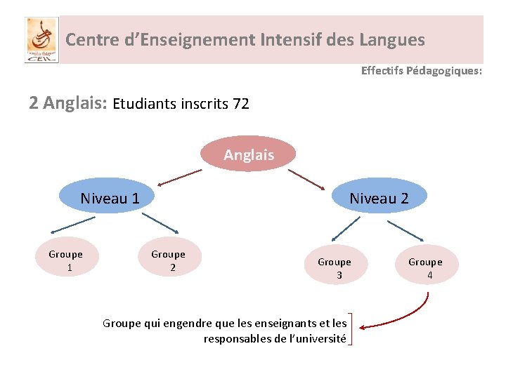 Centre d’Enseignement Intensif des Langues Effectifs Pédagogiques: 2 Anglais: Etudiants inscrits 72 Anglais Niveau
