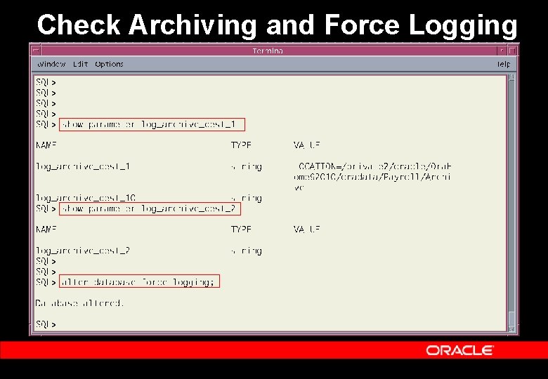 Check Archiving and Force Logging 