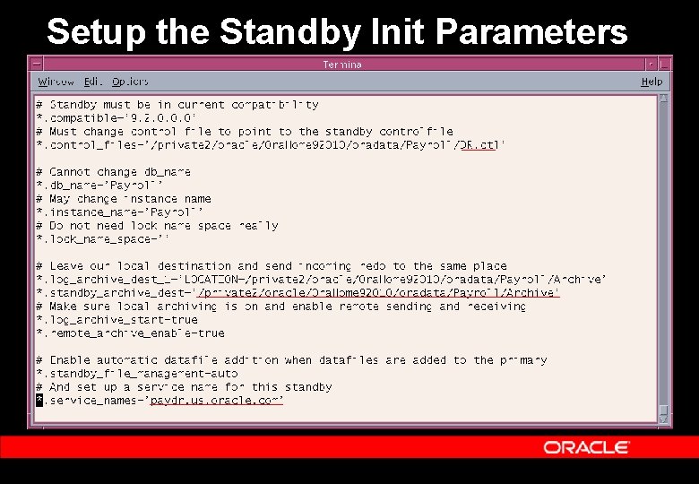 Setup the Standby Init Parameters 