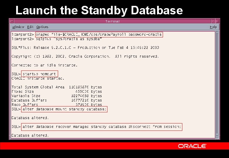 Launch the Standby Database 