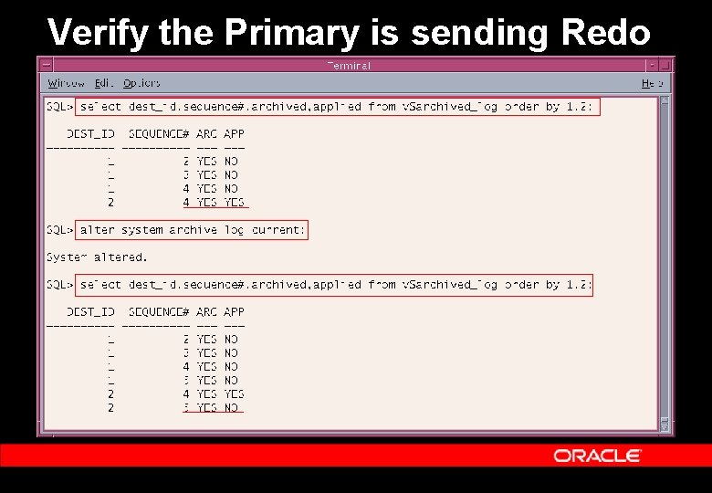 Verify the Primary is sending Redo 