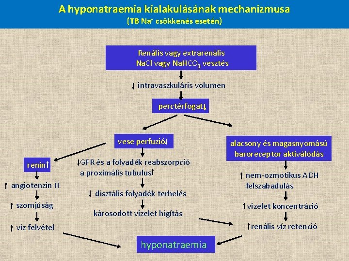A hyponatraemia kialakulásának mechanizmusa (TB Na+ csökkenés esetén) Renális vagy extrarenális Na. Cl vagy