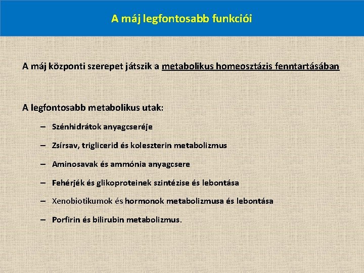 A máj legfontosabb funkciói A máj központi szerepet játszik a metabolikus homeosztázis fenntartásában A