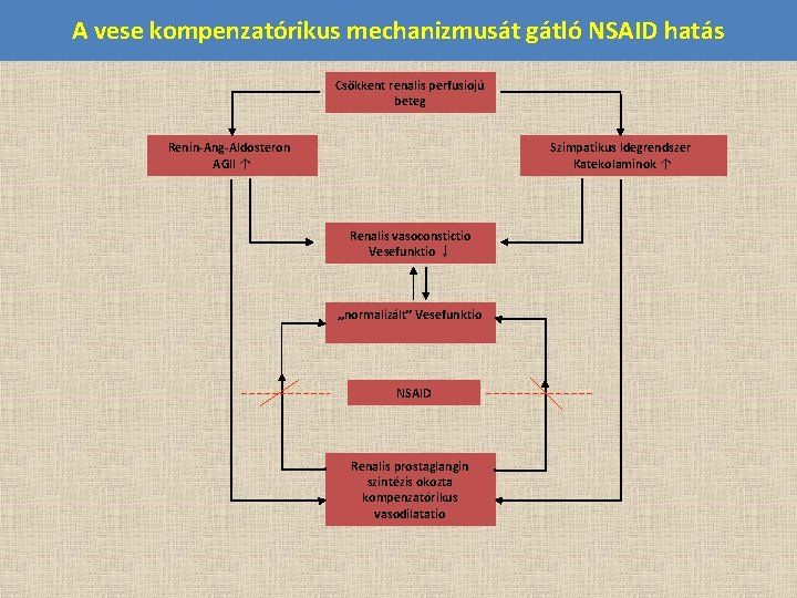 A vese kompenzatórikus mechanizmusát gátló NSAID hatás Csökkent renalis perfusiojú beteg Renin-Ang-Aldosteron AGII ↑