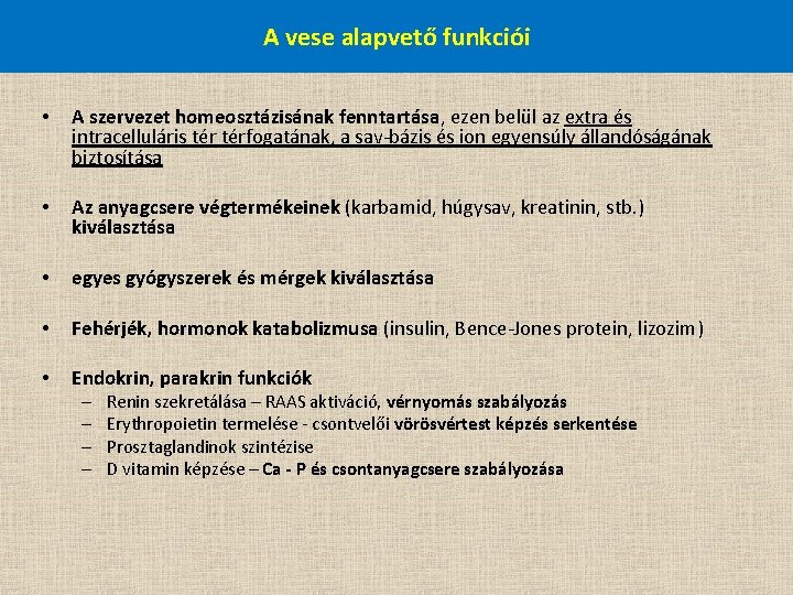 A vese alapvető funkciói • A szervezet homeosztázisának fenntartása, ezen belül az extra és