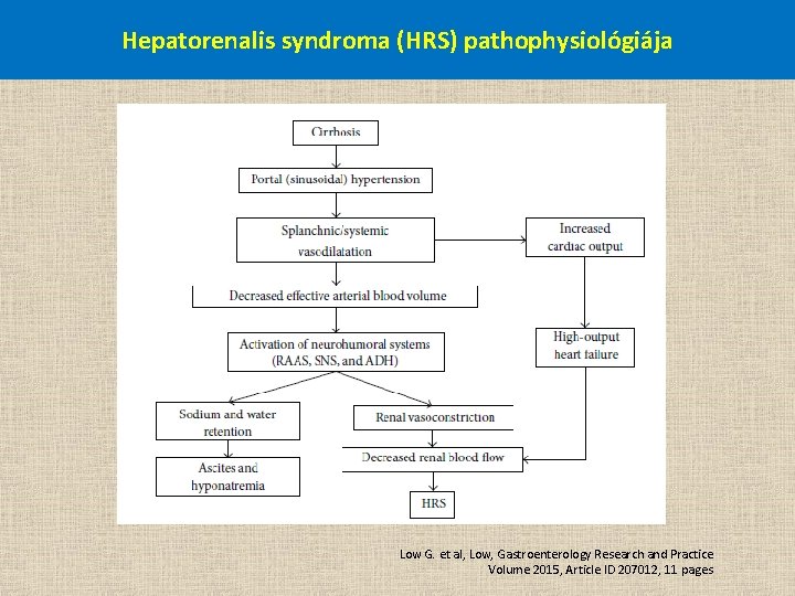 Hepatorenalis syndroma (HRS) pathophysiológiája Low G. et al, Low, Gastroenterology Research and Practice Volume