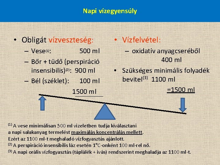 Napi vízegyensúly • Obligát vízveszteség: – Vese(1): 500 ml – Bőr + tüdő (perspiráció