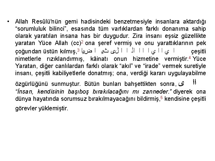  • Allah Resûlü'nün gemi hadisindeki benzetmesiyle insanlara aktardığı “sorumluluk bilinci”, esasında tüm varlıklardan