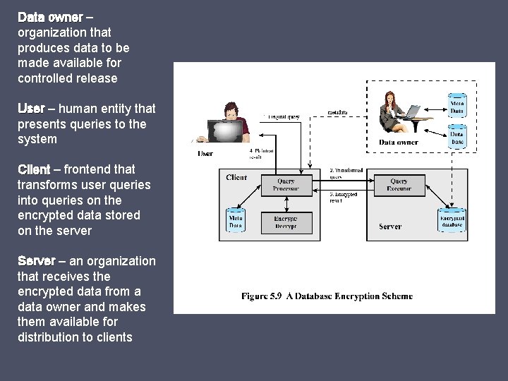 Data owner – organization that produces data to be made available for controlled release