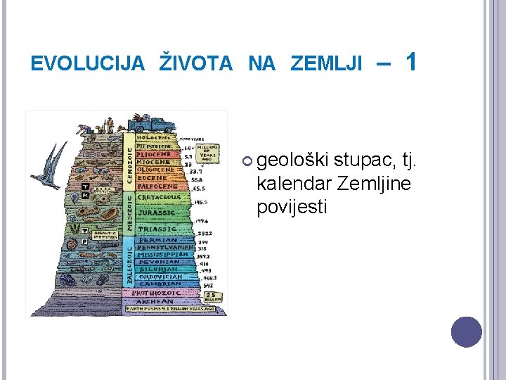 EVOLUCIJA ŽIVOTA NA ZEMLJI geološki – 1 stupac, tj. kalendar Zemljine povijesti 