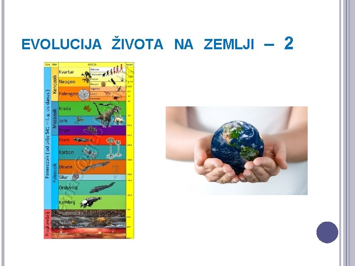 EVOLUCIJA ŽIVOTA NA ZEMLJI – 2 