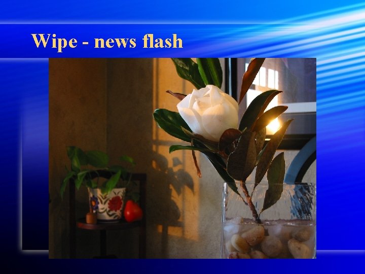 Wipe - news flash 