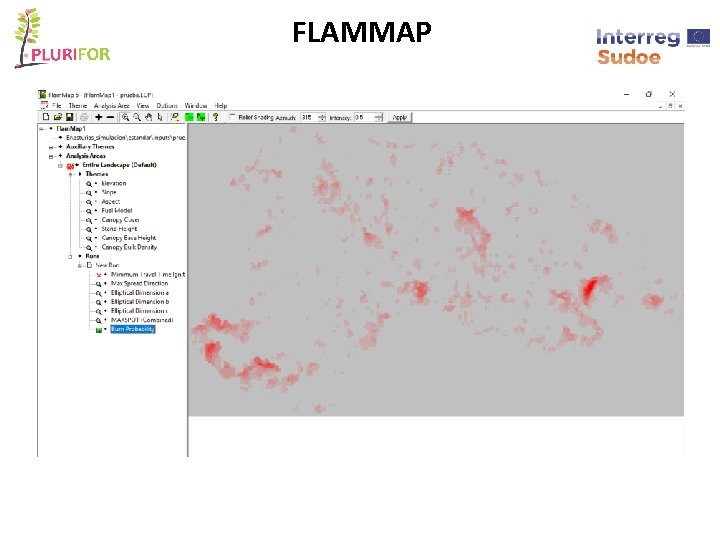 FLAMMAP 