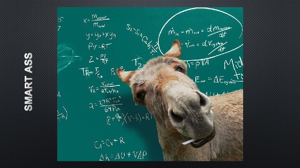 SMART ASS 